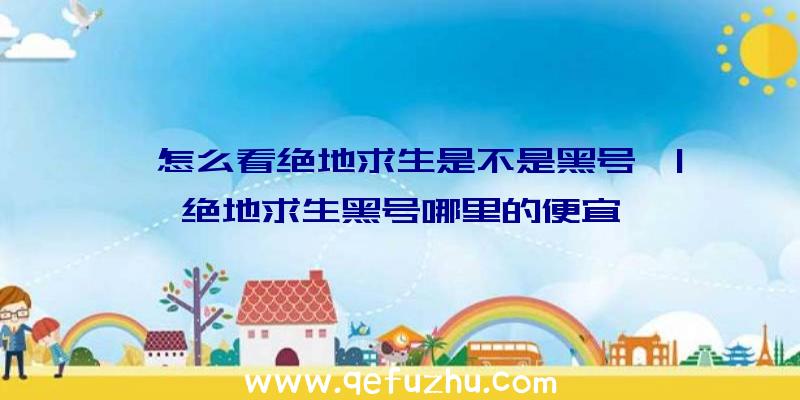 「怎么看绝地求生是不是黑号」|绝地求生黑号哪里的便宜